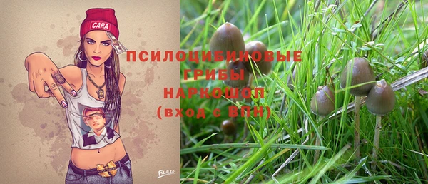 хмурый Абинск