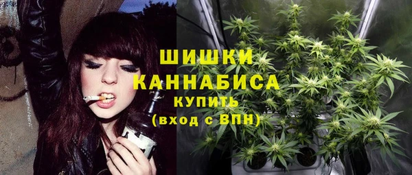 ПСИЛОЦИБИНОВЫЕ ГРИБЫ Горнозаводск