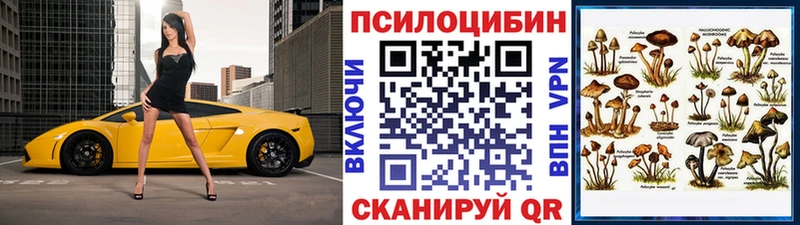 как найти закладки  ОМГ ОМГ ссылка  Галлюциногенные грибы Magic Shrooms  Советск 